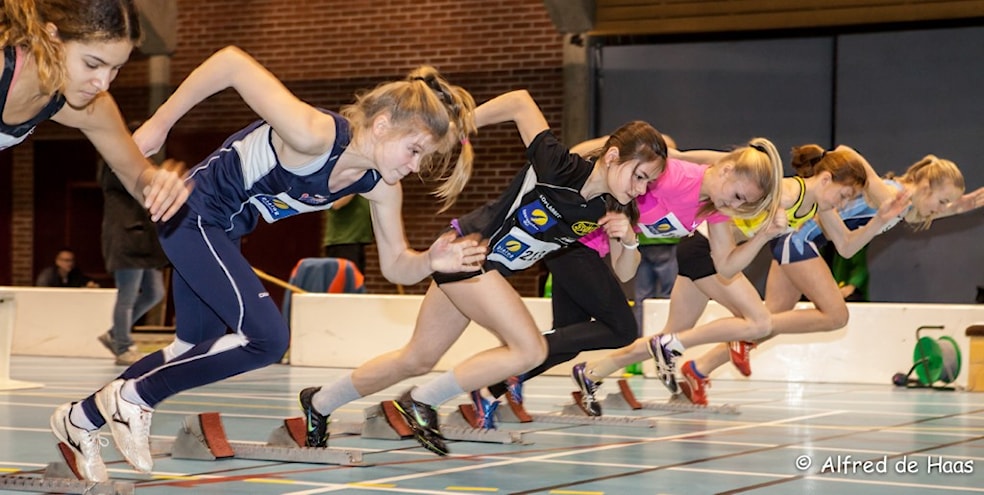 Dialoglekene 2015